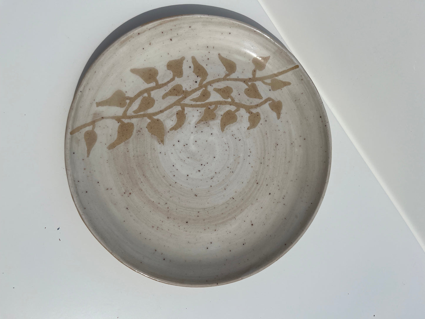 [Second] White Pothos Plate