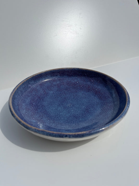 Small White and Blue Plate